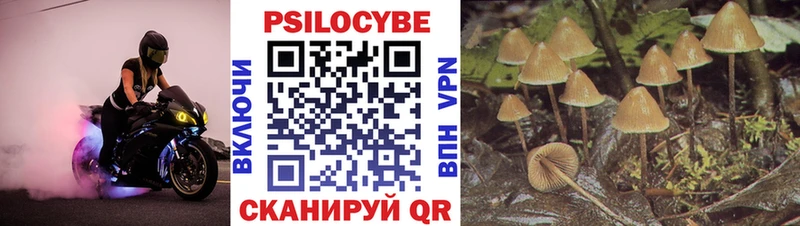 магазин Шилка Галлюциногенные грибы GOLDEN TEACHER