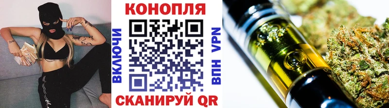 где найти наркотики  Шилка  Бошки Шишки ГИДРОПОН 